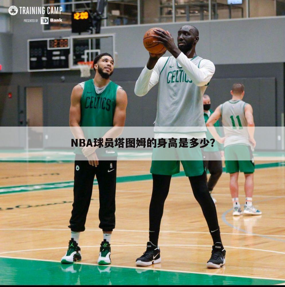 NBA球员塔图姆的身高是多少？