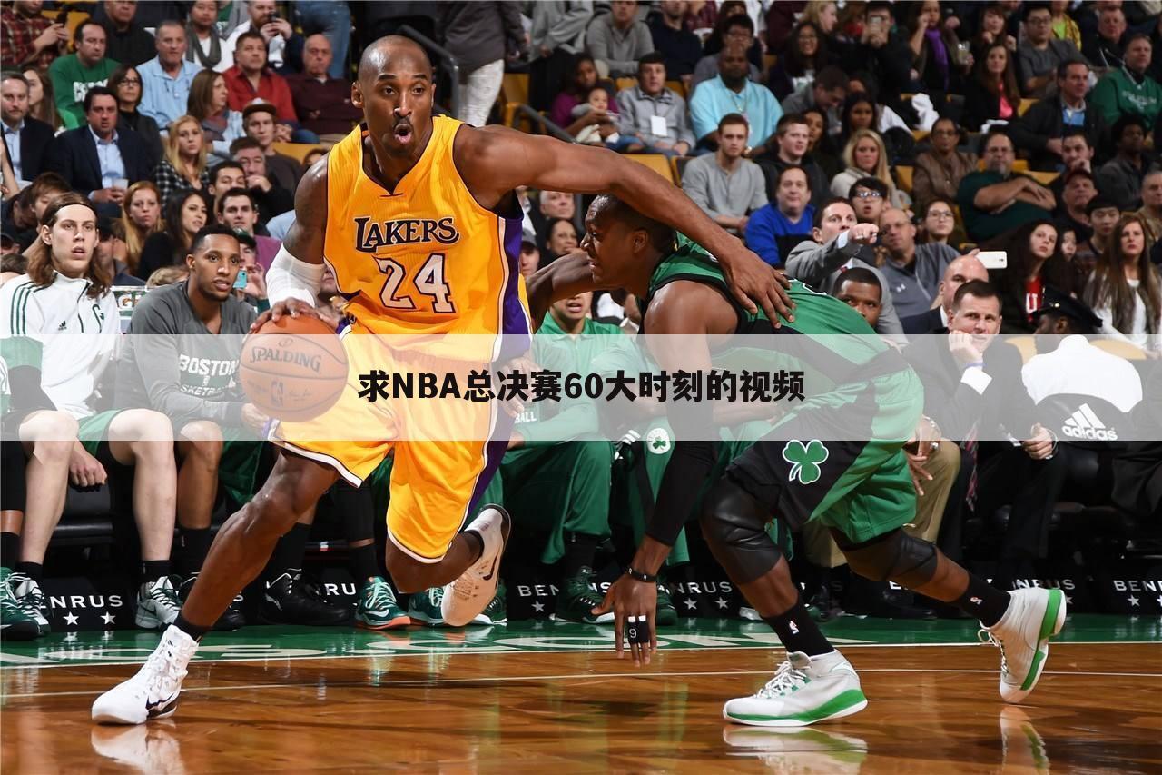 求NBA总决赛60大时刻的视频