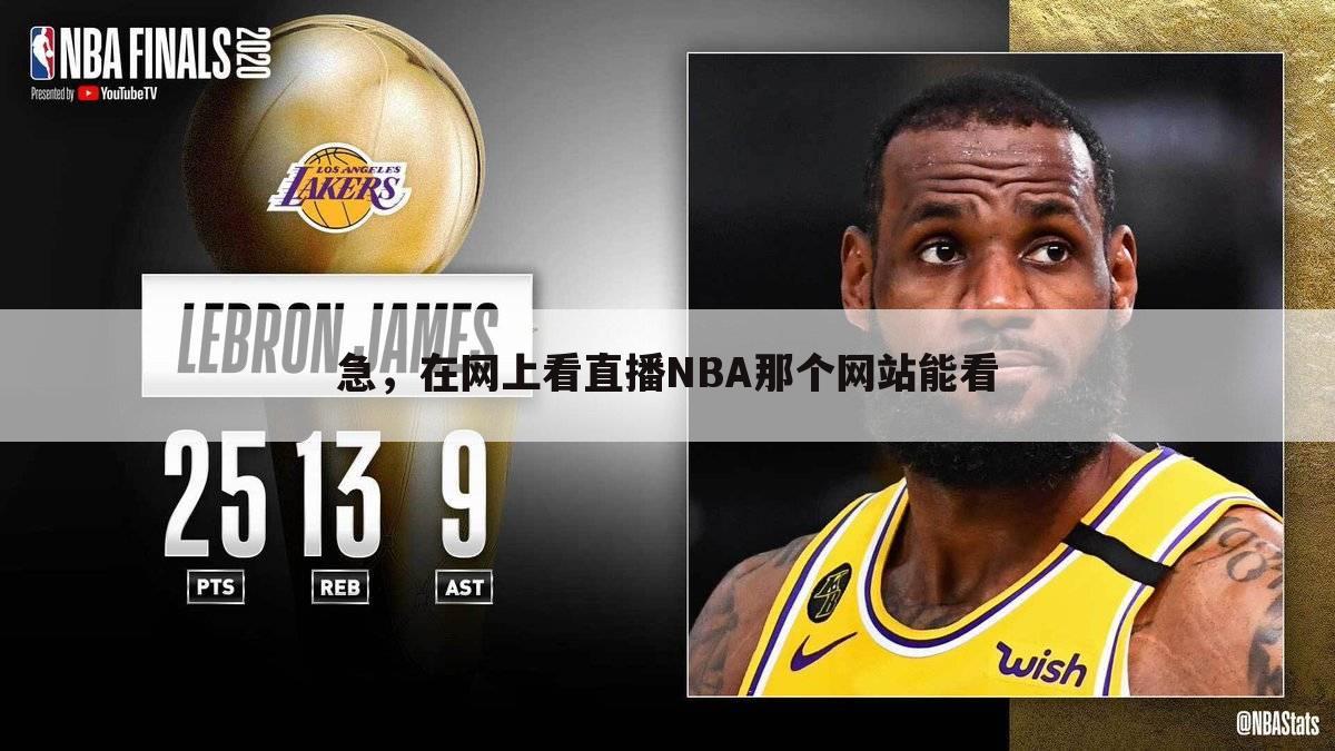 急，在网上看直播NBA那个网站能看