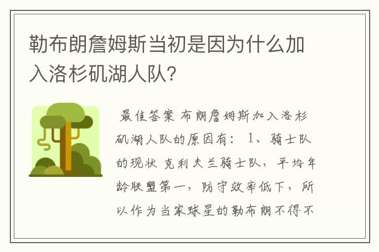 勒布朗詹姆斯当初是因为什么加入洛杉矶湖人队？