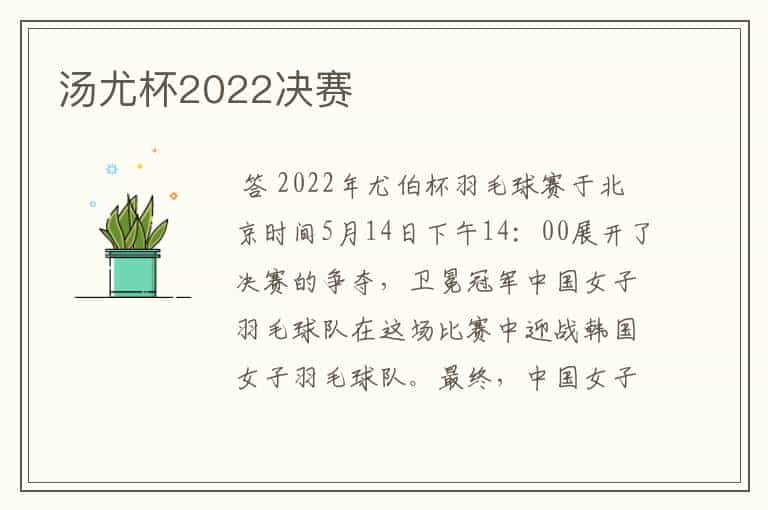 汤尤杯2022决赛