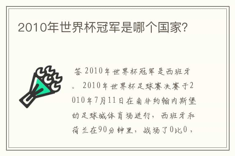 2010年世界杯冠军是哪个国家？