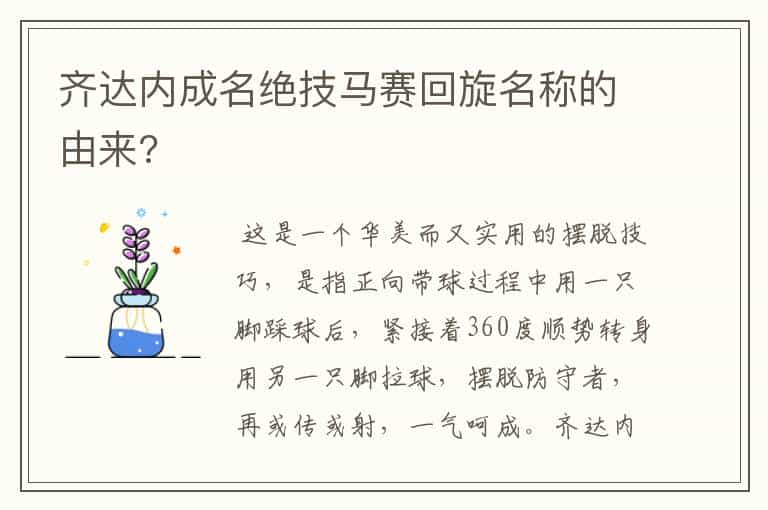 齐达内成名绝技马赛回旋名称的由来?