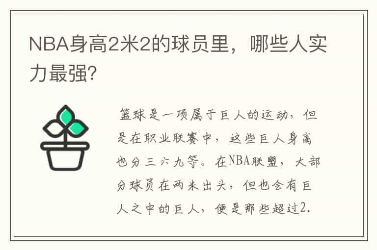 NBA身高2米2的球员里，哪些人实力最强？