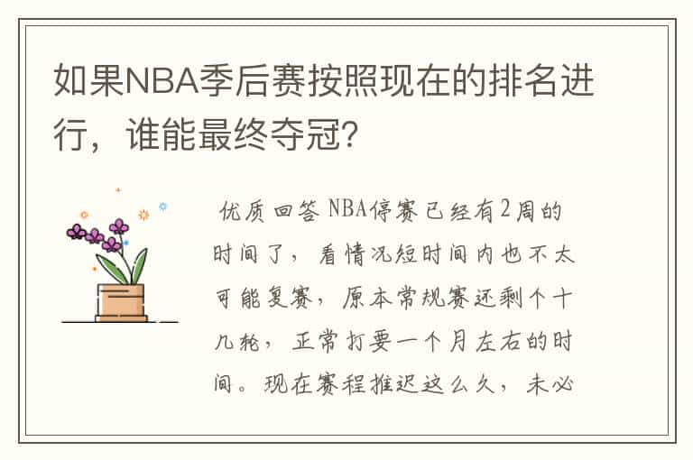 如果NBA季后赛按照现在的排名进行，谁能最终夺冠？