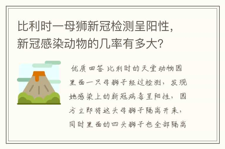 比利时一母狮新冠检测呈阳性，新冠感染动物的几率有多大？