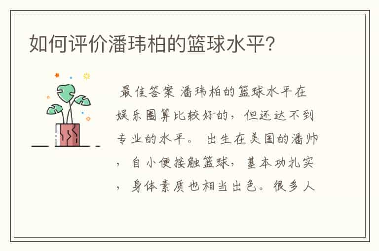 如何评价潘玮柏的篮球水平？