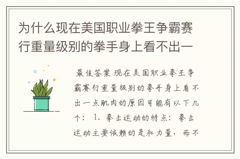 为什么现在美国职业拳王争霸赛行重量级别的拳手身上看不出一点肌肉啊？