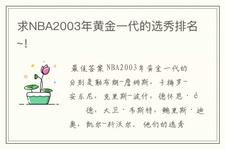 求NBA2003年黄金一代的选秀排名~！