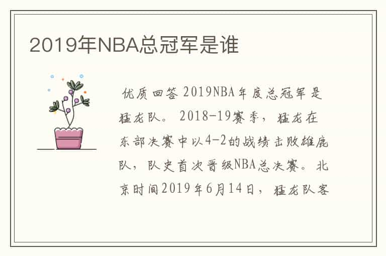 2019年NBA总冠军是谁