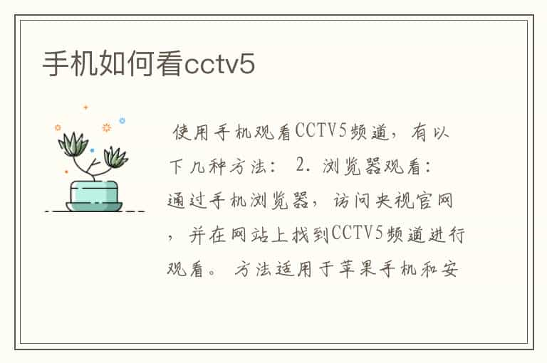 手机如何看cctv5