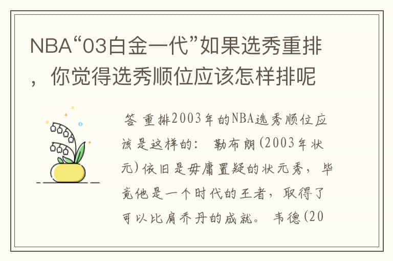 NBA“03白金一代”如果选秀重排，你觉得选秀顺位应该怎样排呢？