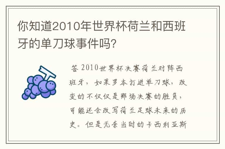 你知道2010年世界杯荷兰和西班牙的单刀球事件吗？