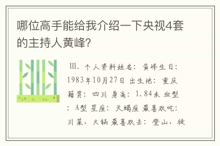 哪位高手能给我介绍一下央视4套的主持人黄峰?