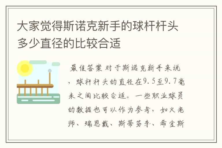 大家觉得斯诺克新手的球杆杆头多少直径的比较合适