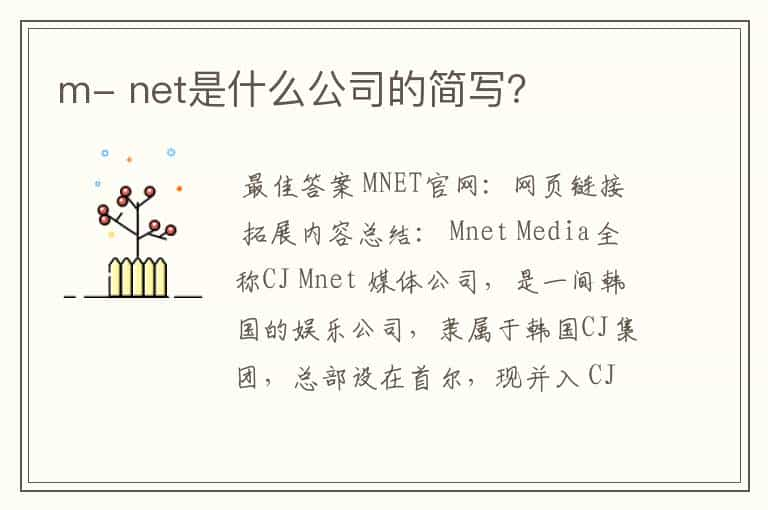 m- net是什么公司的简写？