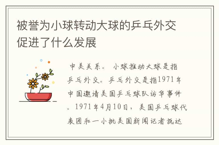 被誉为小球转动大球的乒乓外交促进了什么发展