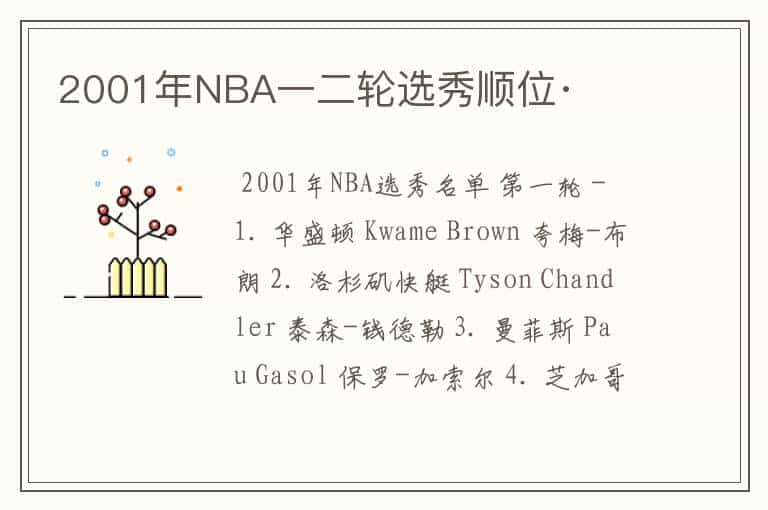 2001年NBA一二轮选秀顺位·