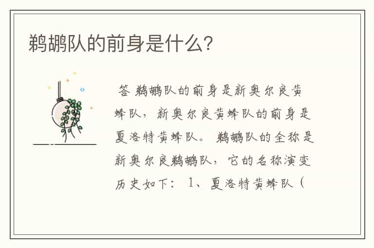 鹈鹕队的前身是什么？