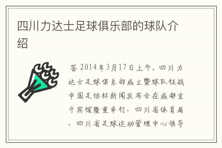 四川力达士足球俱乐部的球队介绍