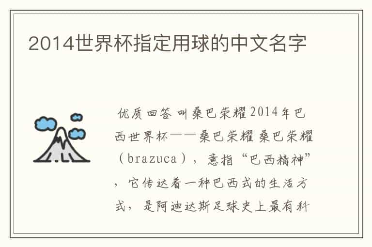 2014世界杯指定用球的中文名字