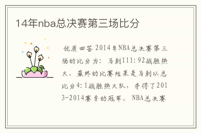 14年nba总决赛第三场比分