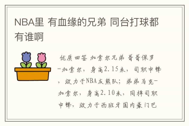 NBA里 有血缘的兄弟 同台打球都有谁啊