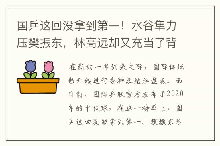 国乒这回没拿到第一！水谷隼力压樊振东，林高远却又充当了背景板