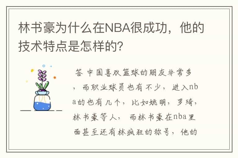 林书豪为什么在NBA很成功，他的技术特点是怎样的？