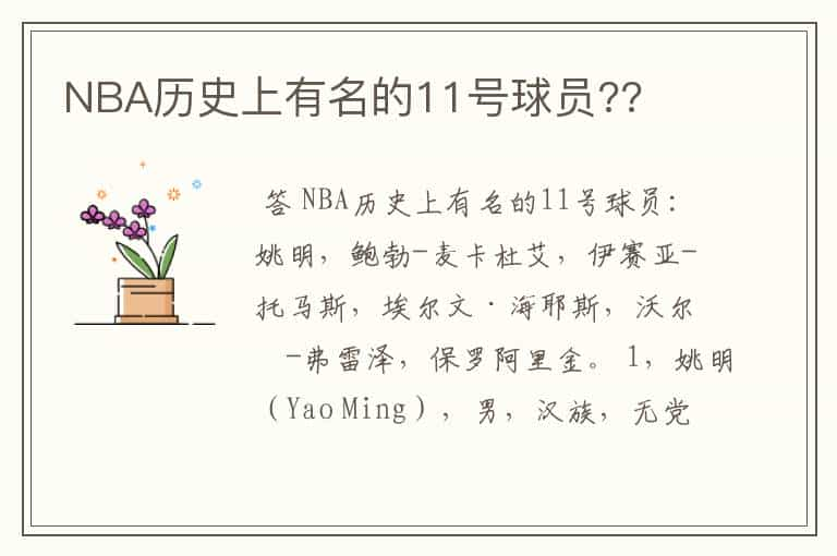 NBA历史上有名的11号球员??