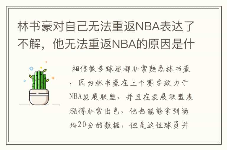 林书豪对自己无法重返NBA表达了不解，他无法重返NBA的原因是什么？