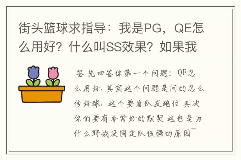 街头篮球求指导：我是PG，QE怎么用好？什么叫SS效果？如果我想传球给任意某个队友，怎样才能做到？