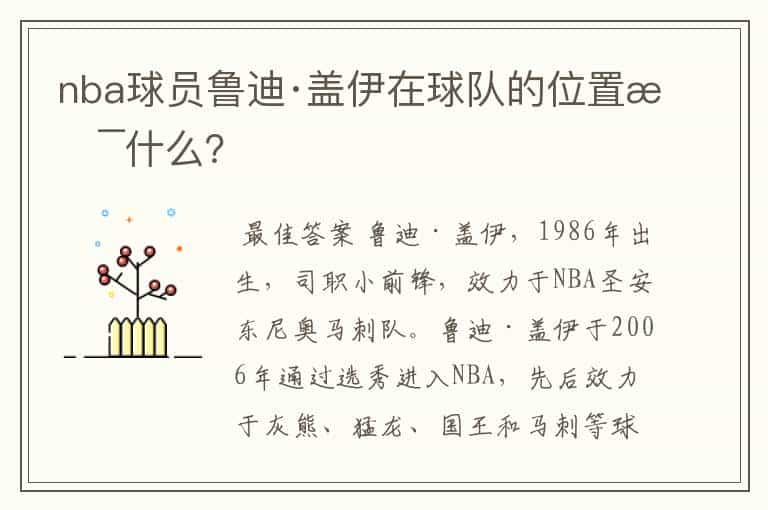 nba球员鲁迪·盖伊在球队的位置是什么？