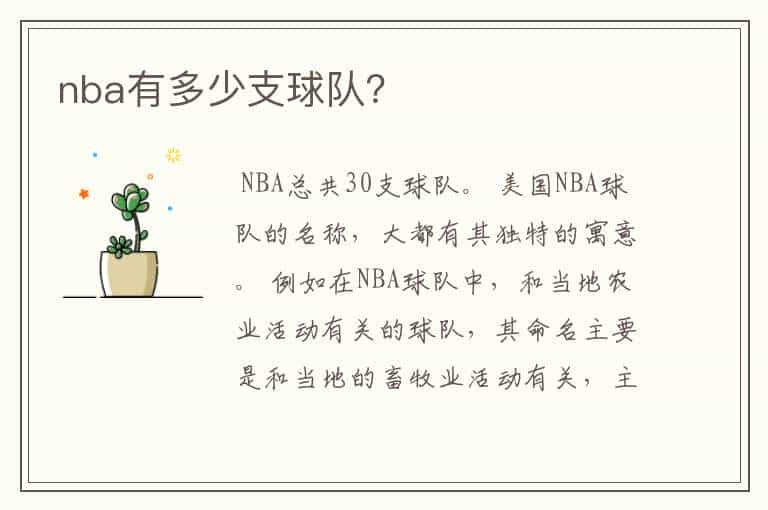 nba有多少支球队？