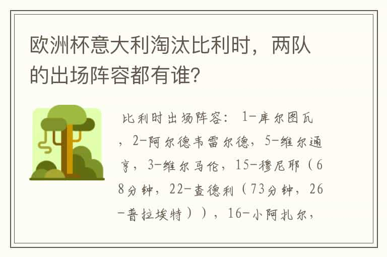 欧洲杯意大利淘汰比利时，两队的出场阵容都有谁？