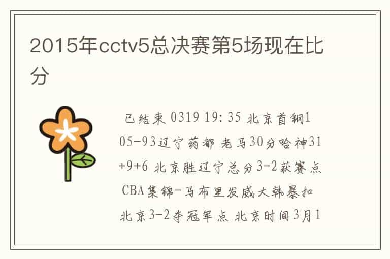 2015年cctv5总决赛第5场现在比分