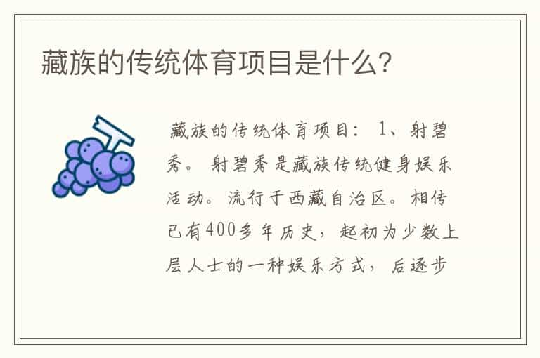 藏族的传统体育项目是什么？