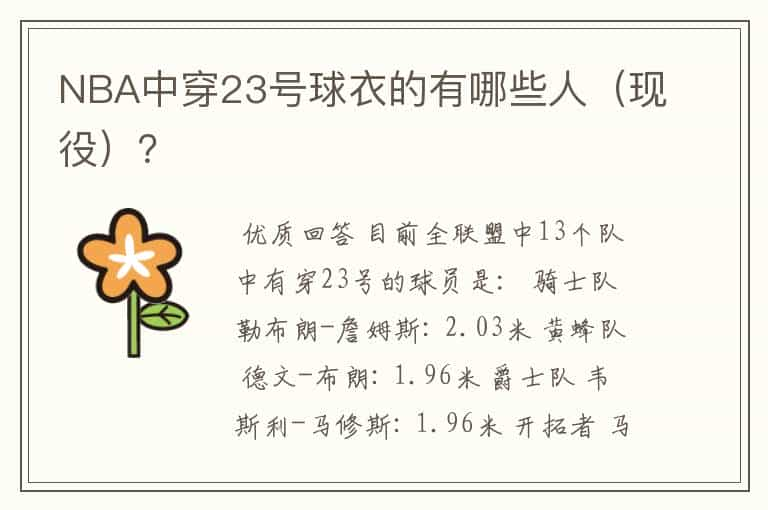 NBA中穿23号球衣的有哪些人（现役）？