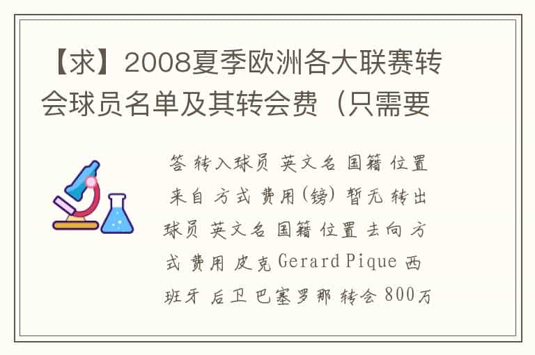 【求】2008夏季欧洲各大联赛转会球员名单及其转会费（只需要知名球星）