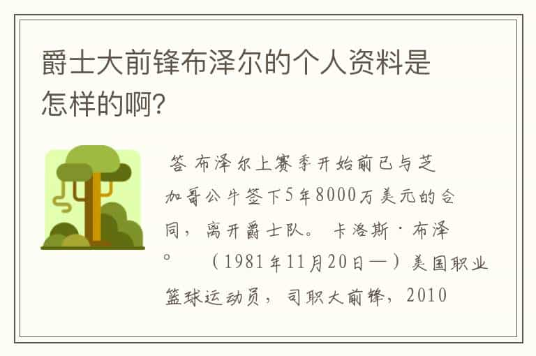 爵士大前锋布泽尔的个人资料是怎样的啊？