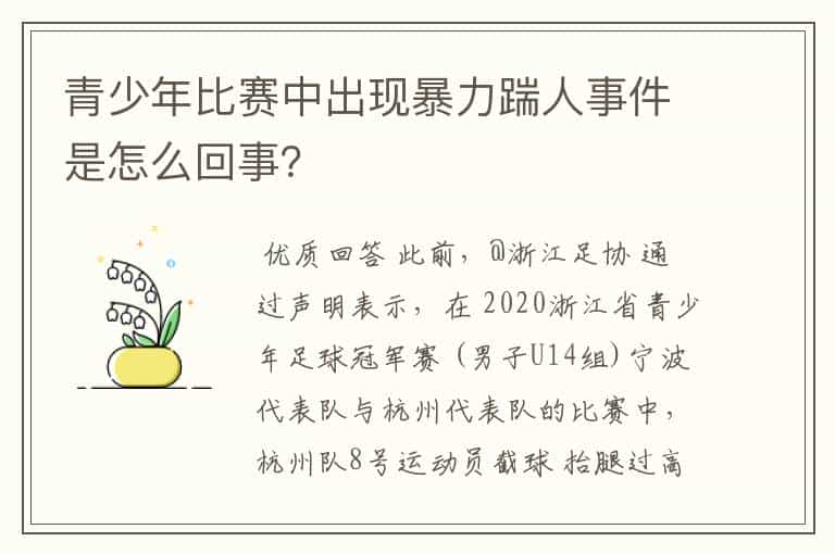 青少年比赛中出现暴力踹人事件是怎么回事？