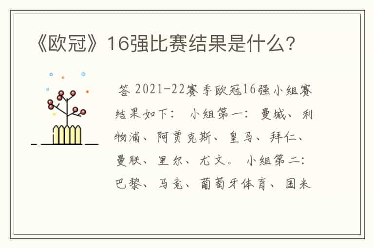 《欧冠》16强比赛结果是什么?