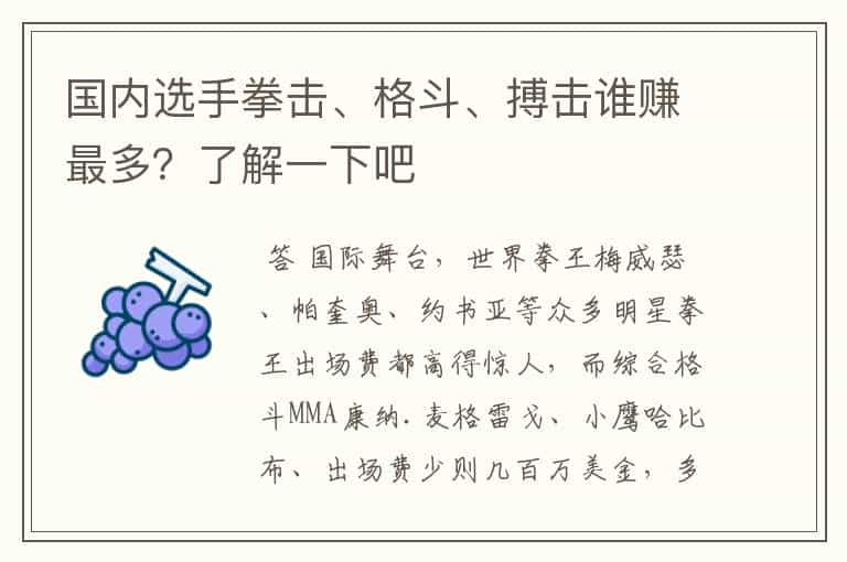 国内选手拳击、格斗、搏击谁赚最多？了解一下吧