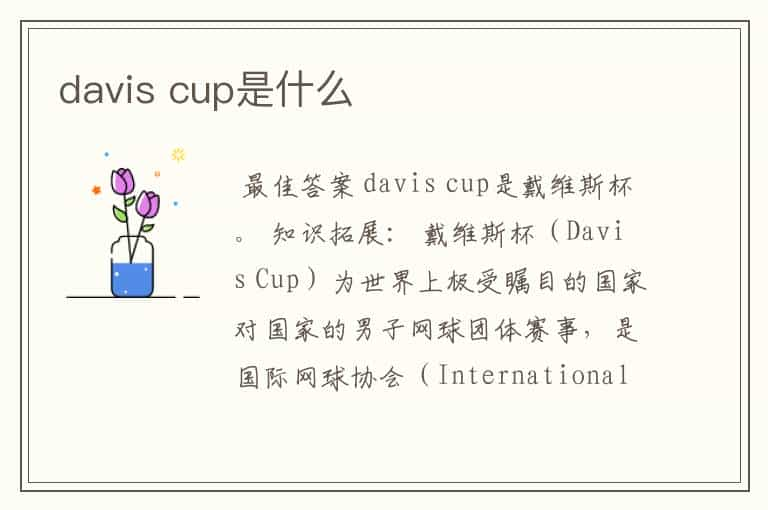 davis cup是什么