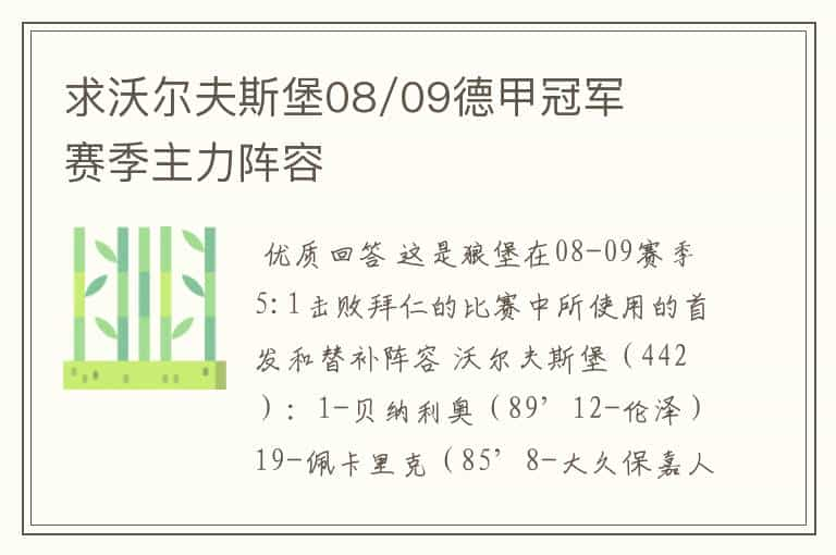 求沃尔夫斯堡08/09德甲冠军赛季主力阵容