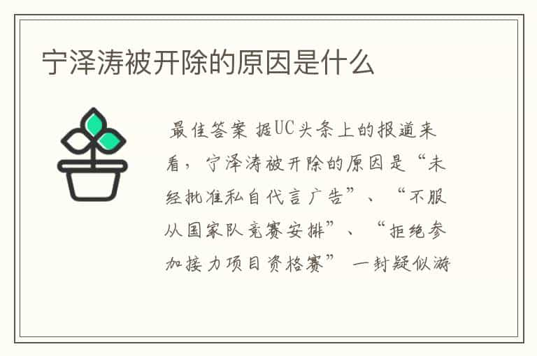 宁泽涛被开除的原因是什么