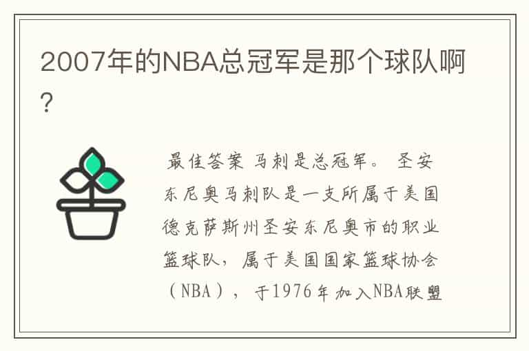 2007年的NBA总冠军是那个球队啊？