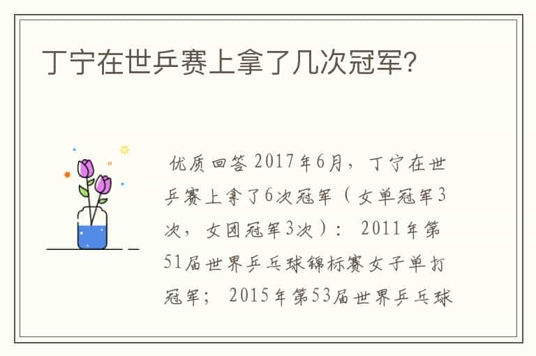 丁宁在世乒赛上拿了几次冠军？