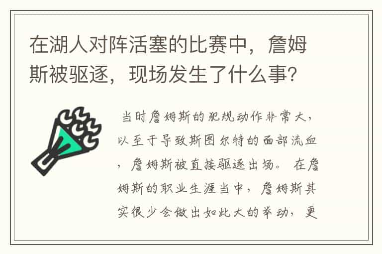 在湖人对阵活塞的比赛中，詹姆斯被驱逐，现场发生了什么事？