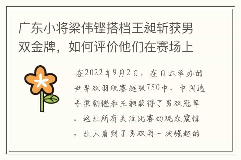 广东小将梁伟铿搭档王昶斩获男双金牌，如何评价他们在赛场上的表现？